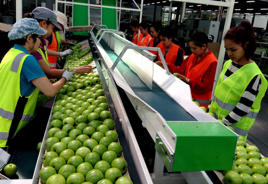EMPACADORES DE DISTINTOS PRODUCTOS POSTULA YA